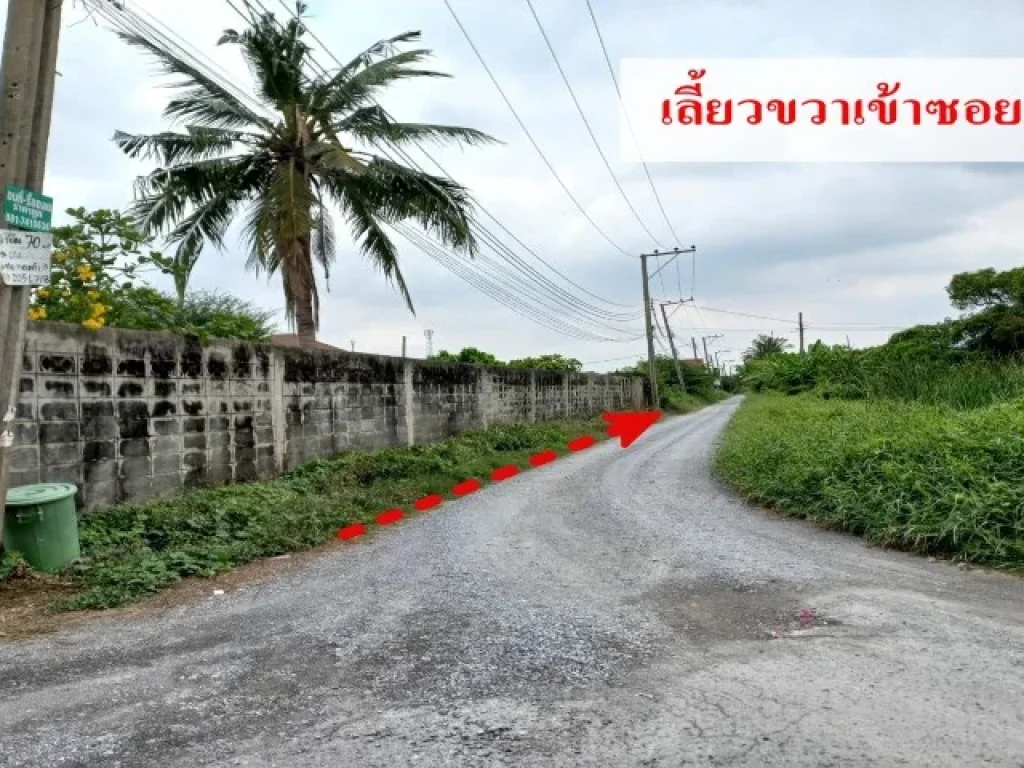 ขายที่ดินเปล่า 70 ตรว ซวัดจันทร์ทองเอี่ยม ถกาญจนาภิเษก อบางบัวทอง จนนทบุรี