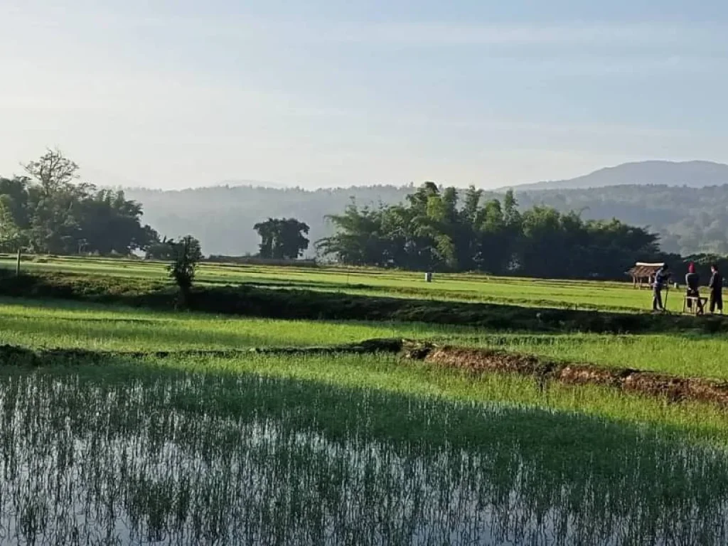 ขายที่ดินแม่ริมติดน้ำ วิวภูเขา เหมาะกับการเกษตร