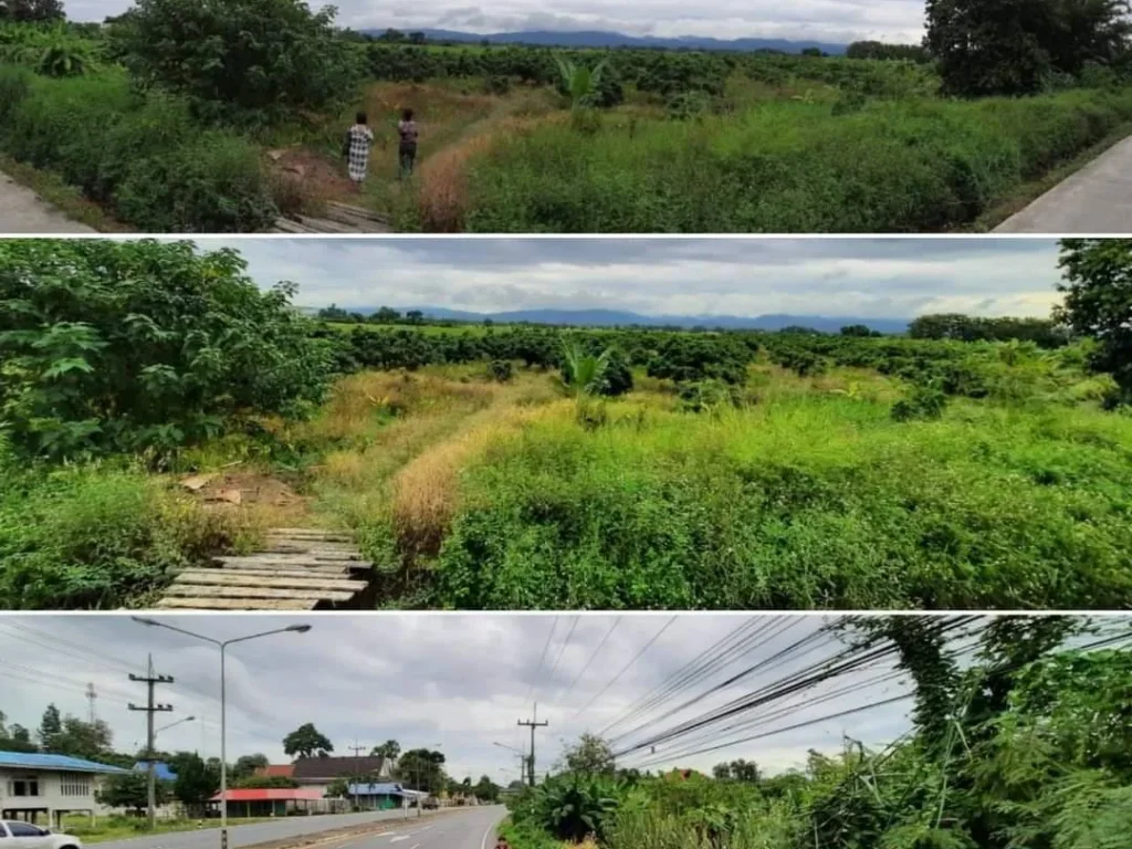 ขายที่ดินติดถนนหลักแถวมหาวิทยาลัยราชภัฏสะลวง ราคาถูก