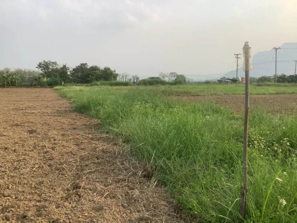 ขายที่ดินเชียงดาว วิวดอยหลวงติดลำเหมือง ราคาน่าลงทุน