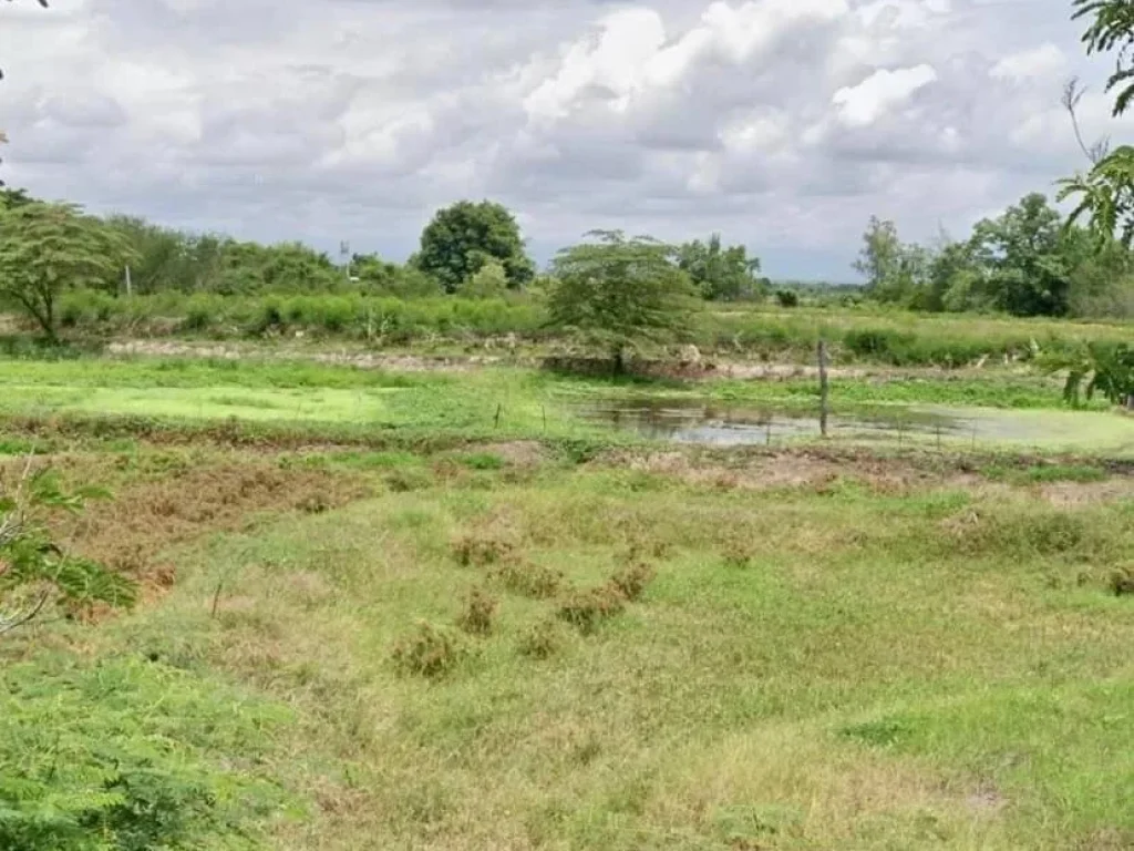 ขายที่ดินติดถนนสี่เลน สายเลี่ยงเมือง สันป่าตอง - ลำพูน อป่าซาง ลำพูน