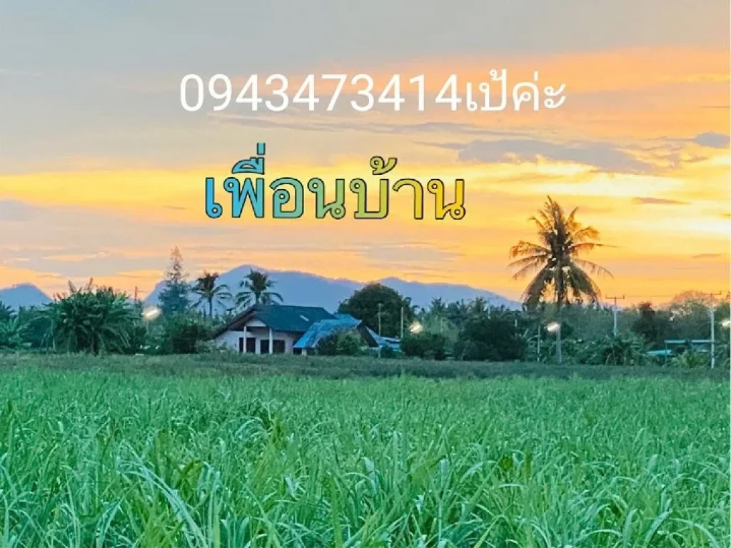 ขายที่ดิน 1 ไร่ ตำบลหินเหล็กไฟ หัวหิน ประจวบคีรีขันธ์ น้ำไฟพร้อม มีถนนคอนกรีต