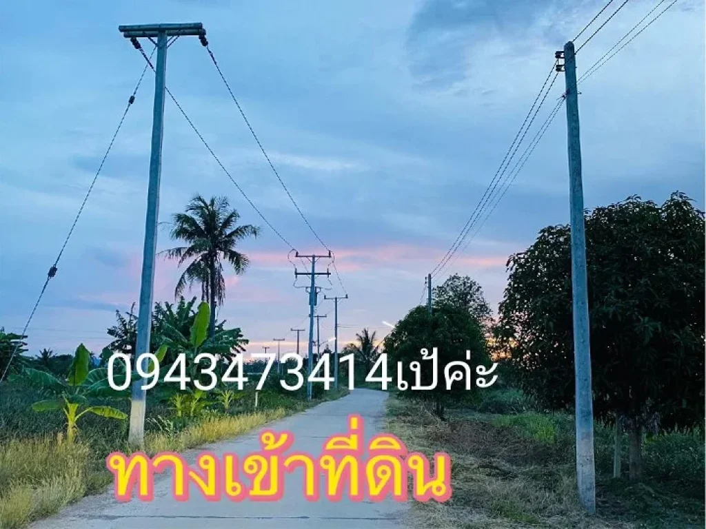 ขายที่ดิน 1 ไร่ ตำบลหินเหล็กไฟ หัวหิน ประจวบคีรีขันธ์ น้ำไฟพร้อม มีถนนคอนกรีต