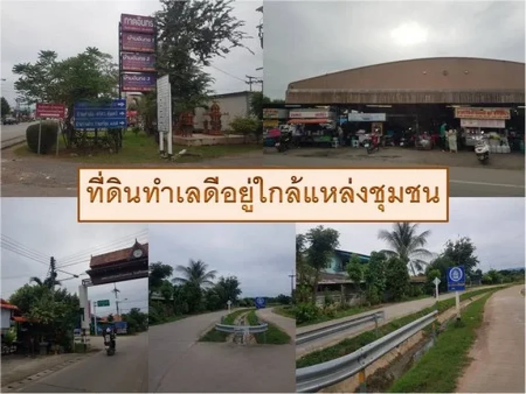 ขายที่ดินถูก 5ไร่ 1งาน 20ตรว พร้อมบ้านและสวนลำไยเก็บผลผลิต มีรายได้ทันที