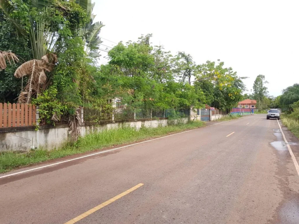 ขายบ้านพร้อมที่ดิน 367 ตรวา C85 อเพ็ญ อุดรธานี 1 one-storey detached house on 367 sqwa land Phen District Udonthani for sale