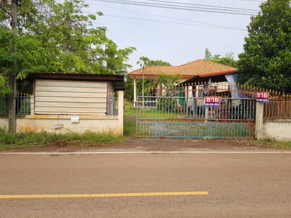 ขายบ้านพร้อมที่ดิน 367 ตรวา C85 อเพ็ญ อุดรธานี 1 one-storey detached house on 367 sqwa land Phen District Udonthani for sale