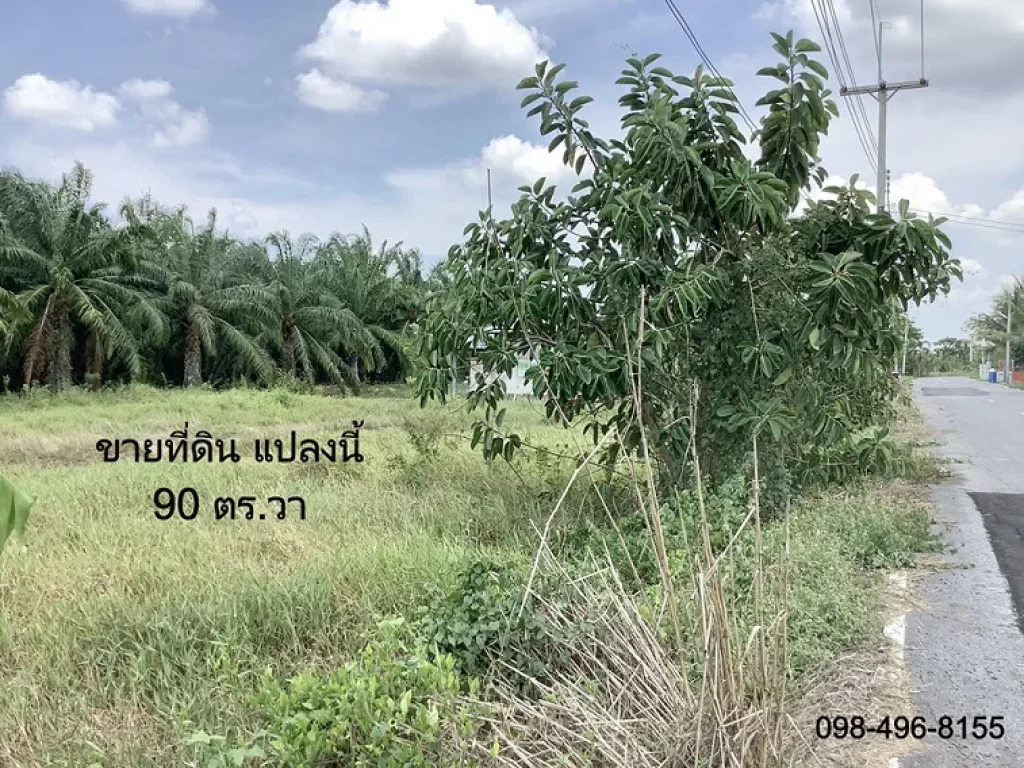 ขาย ที่ดิน 90 ตรวา รังสิตคลองแปด หนองเสือ บึงบอน ปทุมธานี 49 แสน เหมาะปลูกบ้านสวนเกษตร