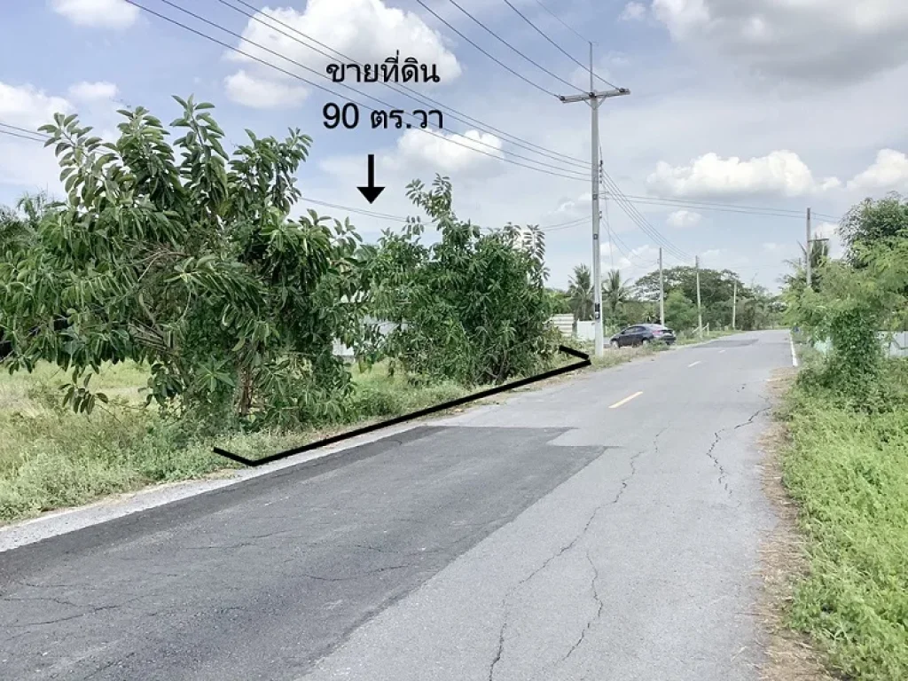 ขาย ที่ดิน 90 ตรวา รังสิตคลองแปด หนองเสือ บึงบอน ปทุมธานี 49 แสน เหมาะปลูกบ้านสวนเกษตร