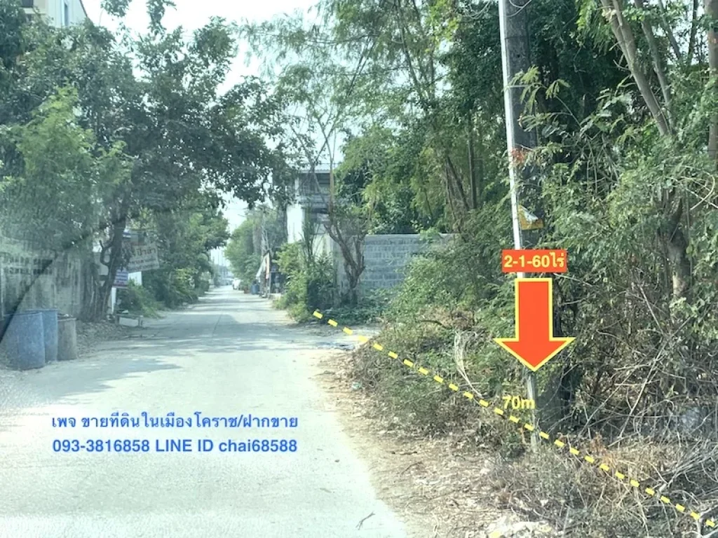 ขายที่ดินซอยช้างเผือก12 ในเมืองโคราช เนื้อที่ 2-1-60ไร่