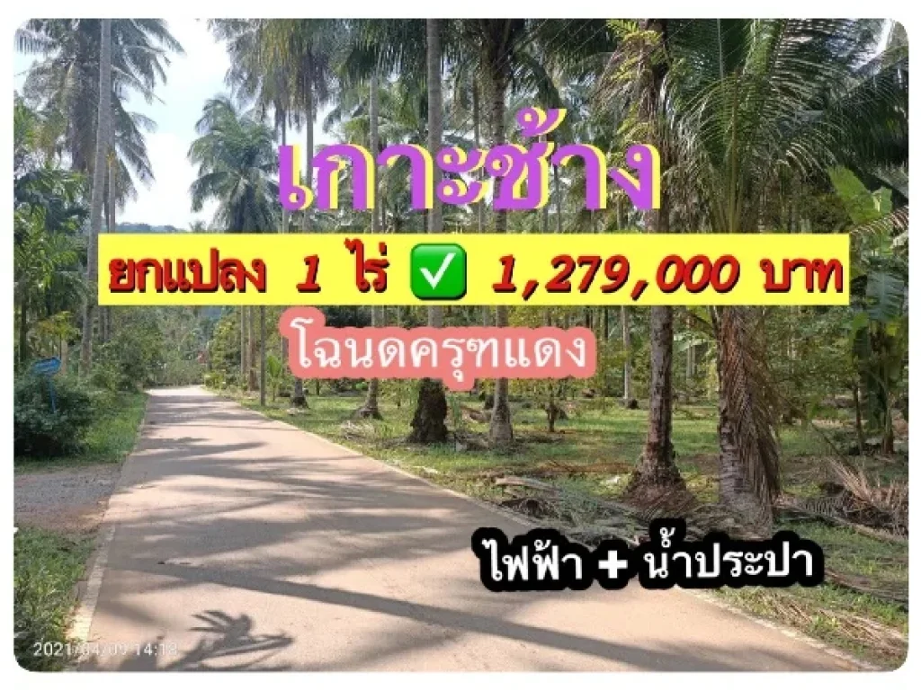 ขายที่ดินเปล่า 1 ไร่ เกาะช้าง