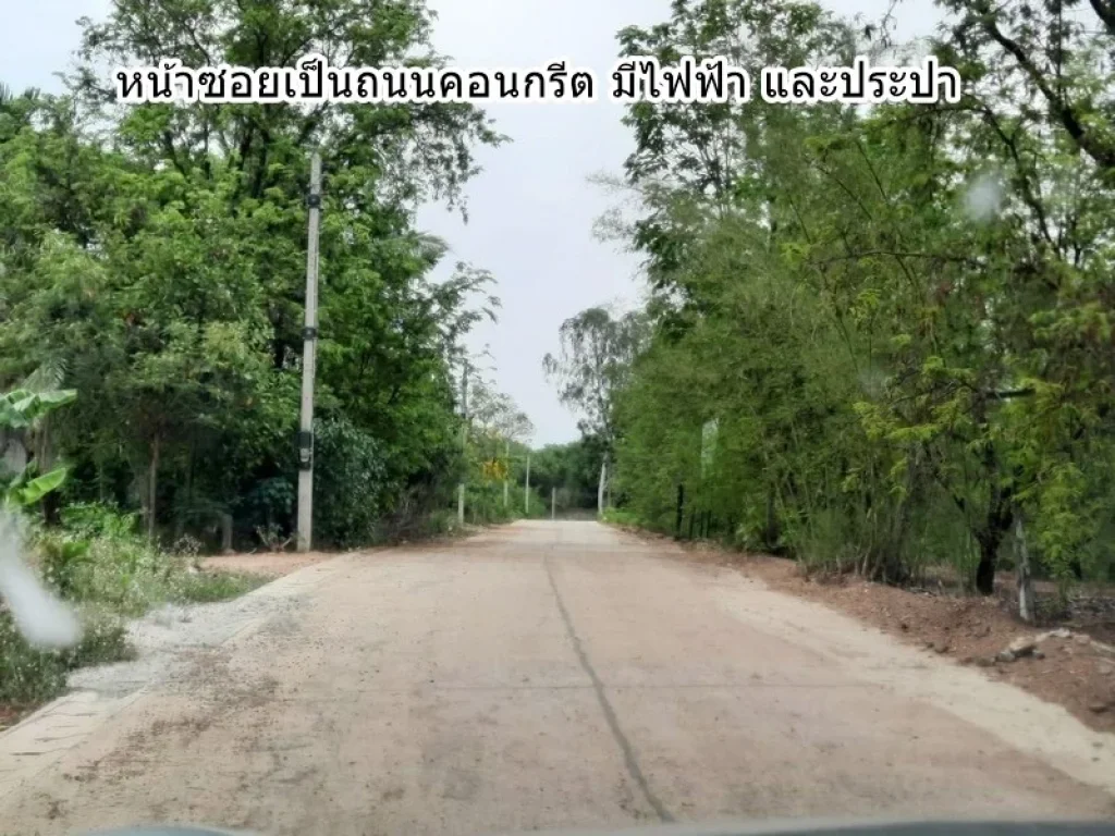 เจ้าของ ขายที่ดินโฉนด วิวเขา ใกล้น้ำตก ตตะเบา อเมือง จเพชรบูรณ์ ติดถนนสาธารณะ มีไฟฟ้า ประปา