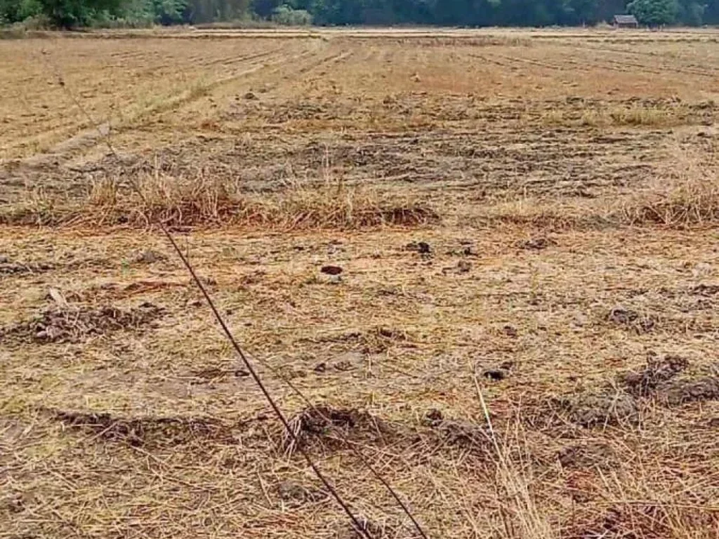 ขายที่ดินติดลำเหมือง อจอมทอง จเชียงใหม่