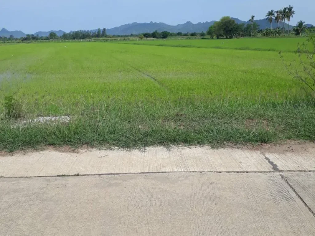 ขายที่ดิน ตำบลเกาะสำโรง อำเภอเมือง กาญจนบุรี ที่ดินสวย ทำเลดี บรรยากาสดี เดินทางสะดวก