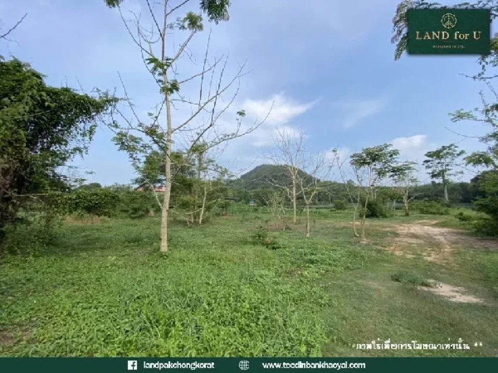 ขายที่ดินติดถนนสุขุมวิท ที่ดินบ้านเพระยอง ใกล้ชายหาดสวนสน เพียง 5 นาที ใกล้แหล่งท่องเที่ยว ติดถนนทำเลดีมาก