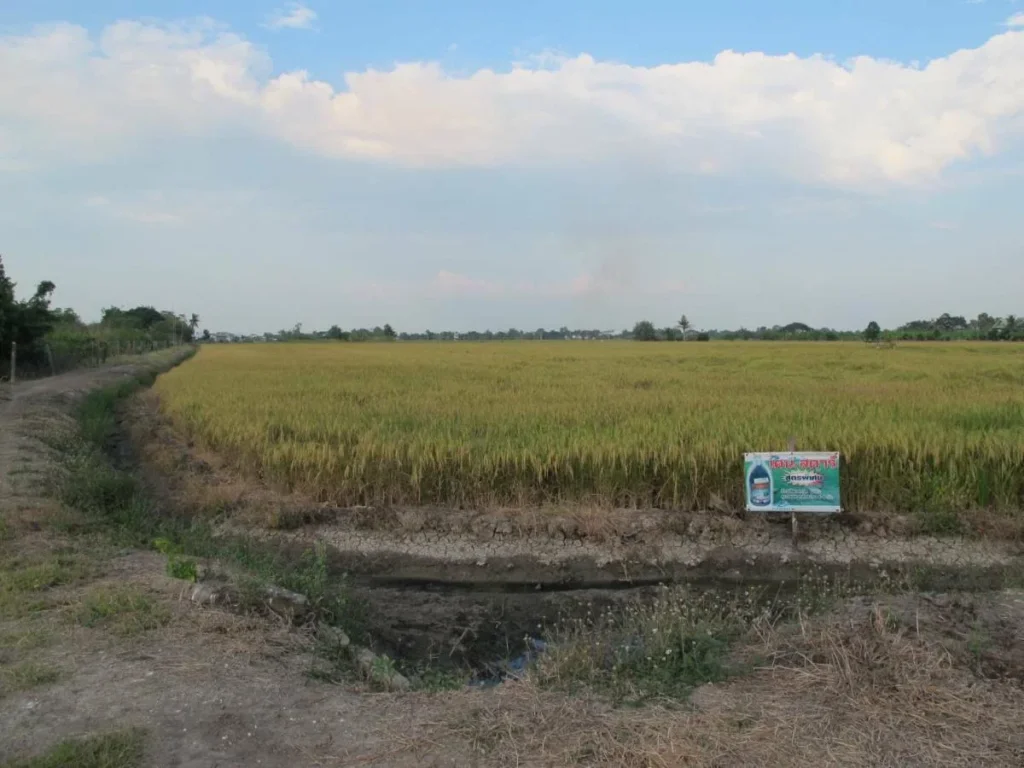 ขายที่ดินลาดหลุมแก้ว ระแหง ลาดหลุมแก้ว ปทุมธานี