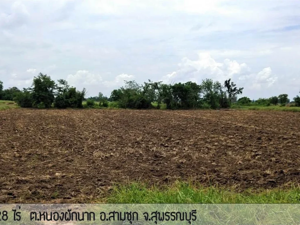 ขายที่ดินสามชุก สุพรรณบุรี เกือบ10ไร่ 22 ล้าน เจ้าของขายเอง