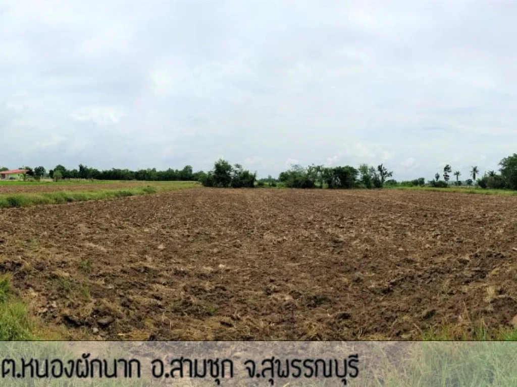 ขายที่ดินสามชุก สุพรรณบุรี เกือบ10ไร่ 22 ล้าน เจ้าของขายเอง