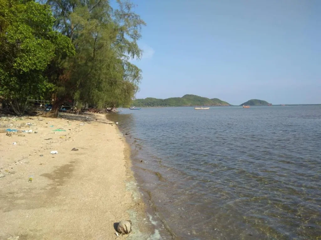 ขายด่วนที่ดินติดทะเลหาดเจ้าหลาวหาดส่วนตัว