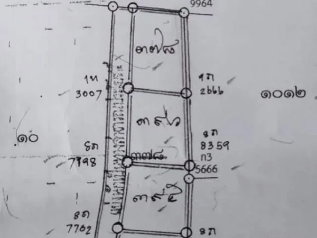 ขายที่ดินป่าแดดบ้านวังสิงห์คำ แบ่งขายสามแปลง ราคาถูก