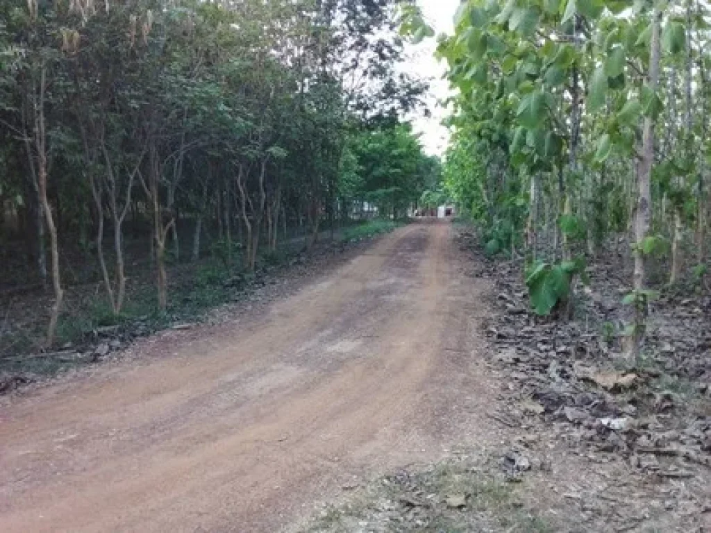 ขายที่ดินทำเลดีพร้อมบ้านไม้สไตล์รีสอร์ทน้ำไฟพร้อม ที่ดินติดถนนทั้งสองด้าน