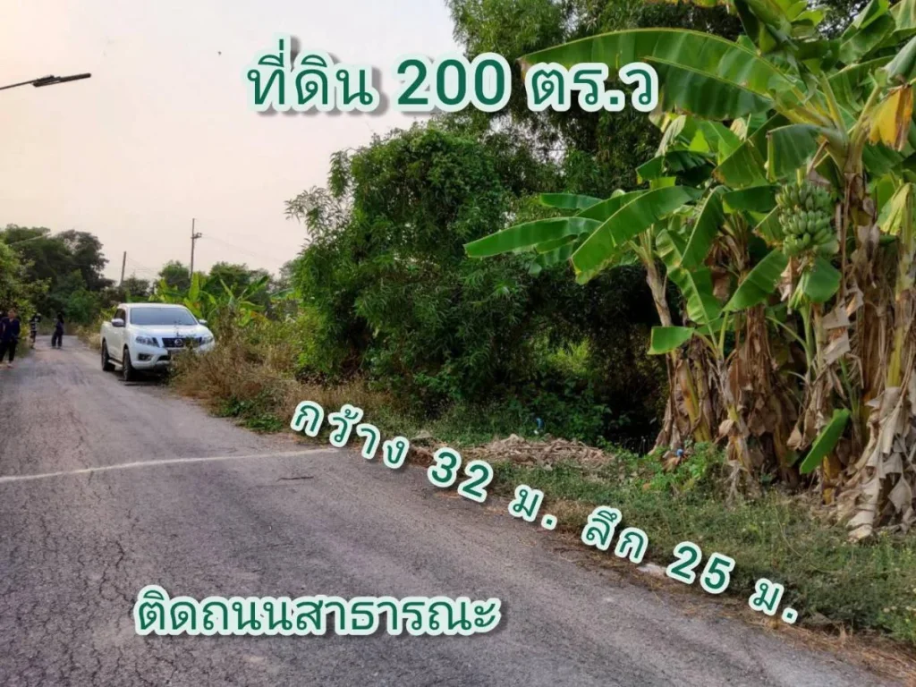 ขายที่ดิน 200 ตารางวา ซอยลำน้ำพัฒนา 1 คลอง 12 ฝั่งตะวันตก อำเภอหนองเสือ จังหวัดปทุมธานี