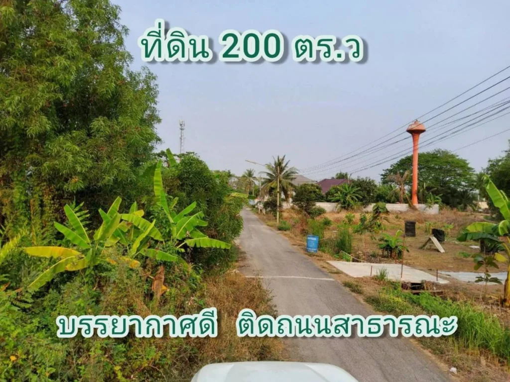 ขายที่ดิน 200 ตารางวา ซอยลำน้ำพัฒนา 1 คลอง 12 ฝั่งตะวันตก อำเภอหนองเสือ จังหวัดปทุมธานี