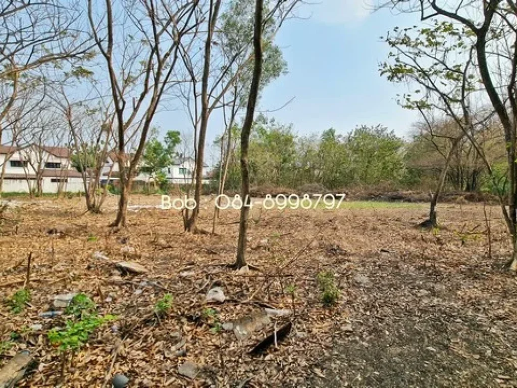 ขายที่ดิน ทวีวัฒนา พุทธมณฑล สาย2 ถมแล้ว ขายที่ดิน ตลิ่งชัน พุทธมณฑล สาย2 เนื้อที่ 1995 ตรว ถมแล้ว