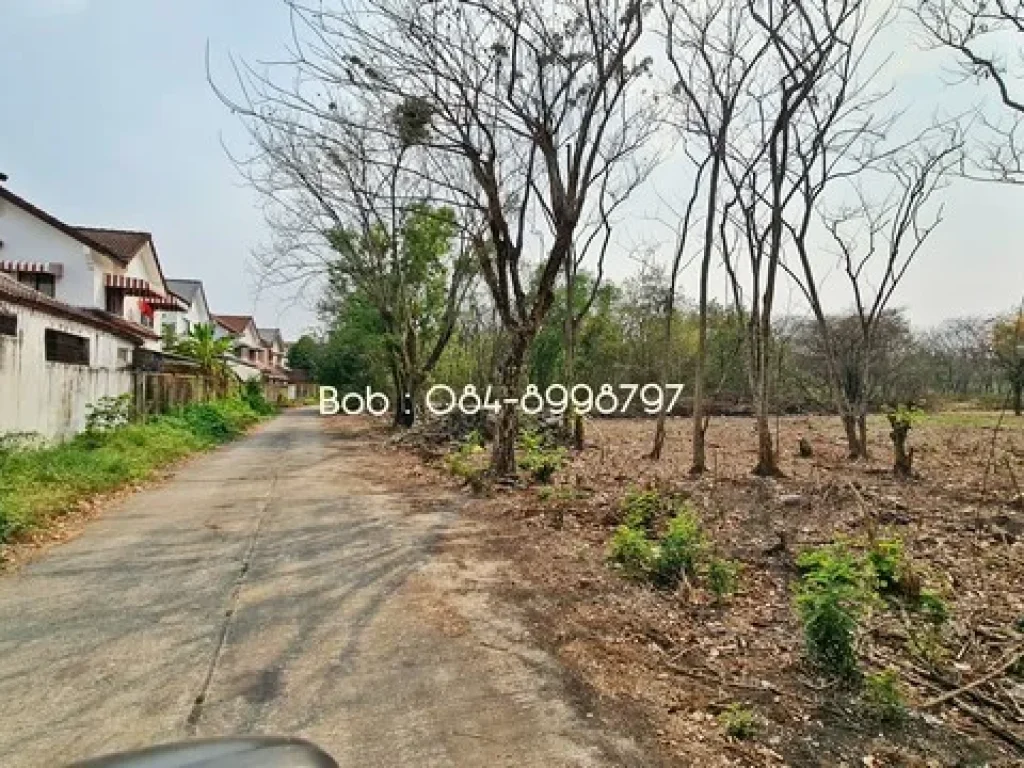 ขายที่ดิน ทวีวัฒนา พุทธมณฑล สาย2 ถมแล้ว ขายที่ดิน ตลิ่งชัน พุทธมณฑล สาย2 เนื้อที่ 1995 ตรว ถมแล้ว