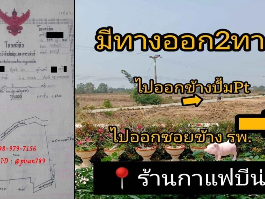 ขายที่ดินแปลงใหญ่ 61 ไร่ 80 ตรว พื้นที่ติดถนนคอนกรีต ผังสีเขียว ใกล้ตลาด