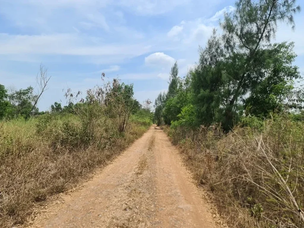 ขาย ที่ดิน ตองครักษ์ อองครักษ์ จนครนายก ใกล้ถนนใหญ่ รังสิต-นครนายก คลอง14 เข้าซอย 700 เมตร