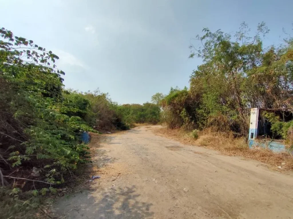 ที่ดินแปลงสวยติดถนนใหญ่สายบายพาส กรุงเทพ-ลพบุรี บายพาสเสาไห้