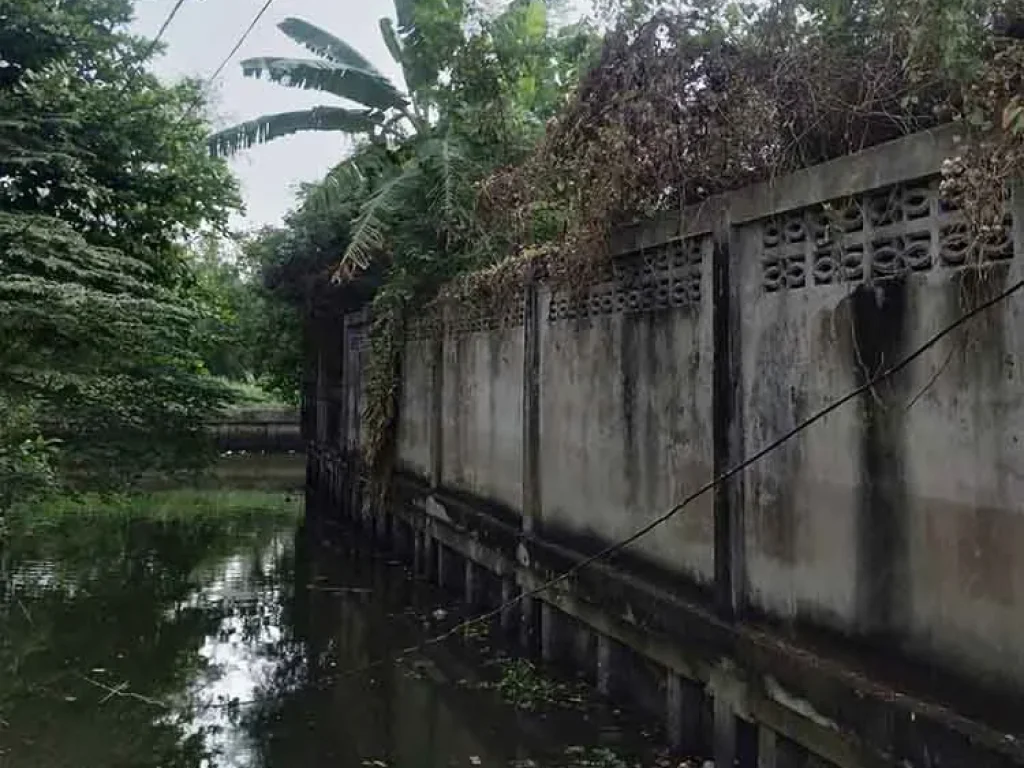 ขายที่ดินพร้อมบ้านกำลังสร้าง 284ตรว ด้านหลังติดคลอง ในซอยข้างสมาคมปักษ์ใต้ ห่างจากถกาญจนาภิเษก300เมตร