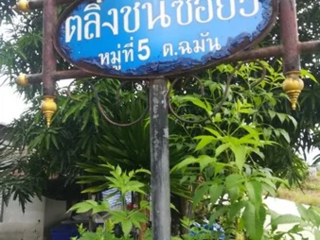 ขายที่ดินมีโฉนดเหมาะกับการทำสวนทุเรียน 20 ไร่ 3 งาน 76 ตรวา จจันทบุรี