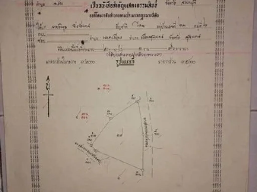 ขายที่ดินมีโฉนดเหมาะกับการทำสวนทุเรียน 20 ไร่ 3 งาน 76 ตรวา จจันทบุรี