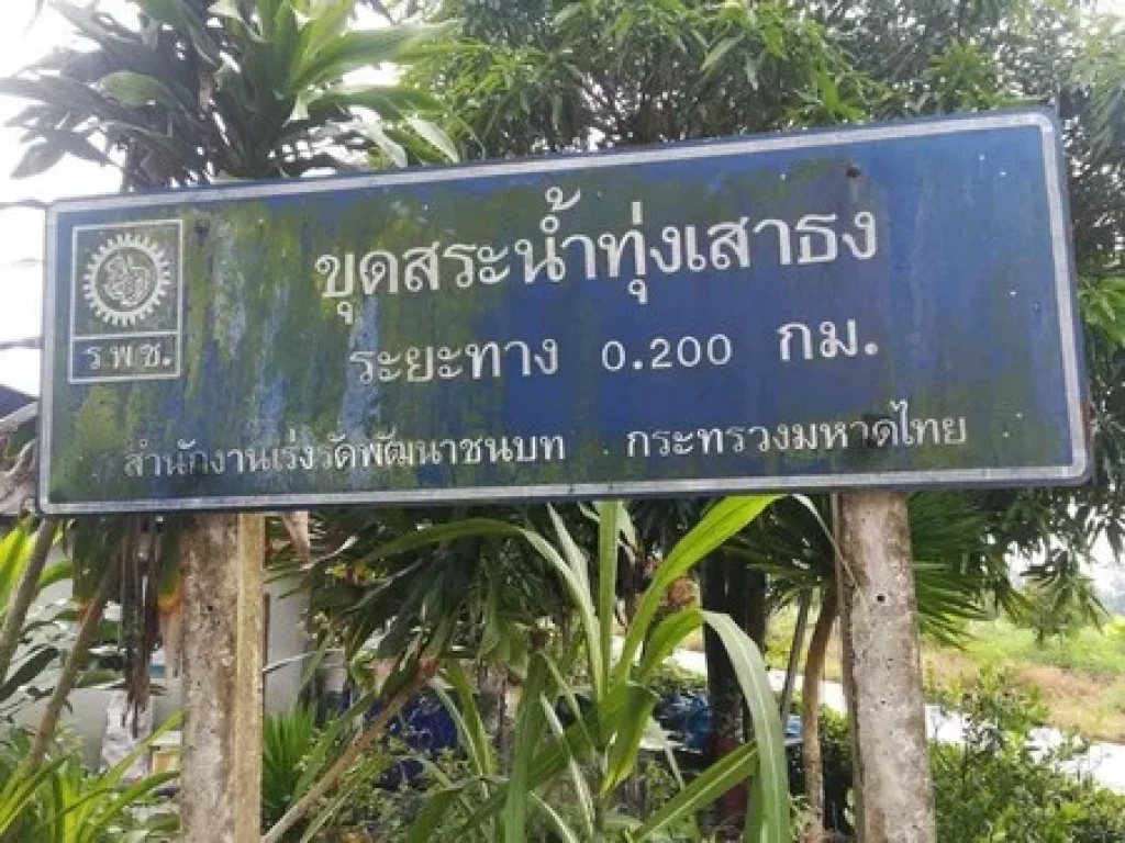 ขายที่ดินมีโฉนดเหมาะกับการทำสวนทุเรียน 20 ไร่ 3 งาน 76 ตรวา จจันทบุรี