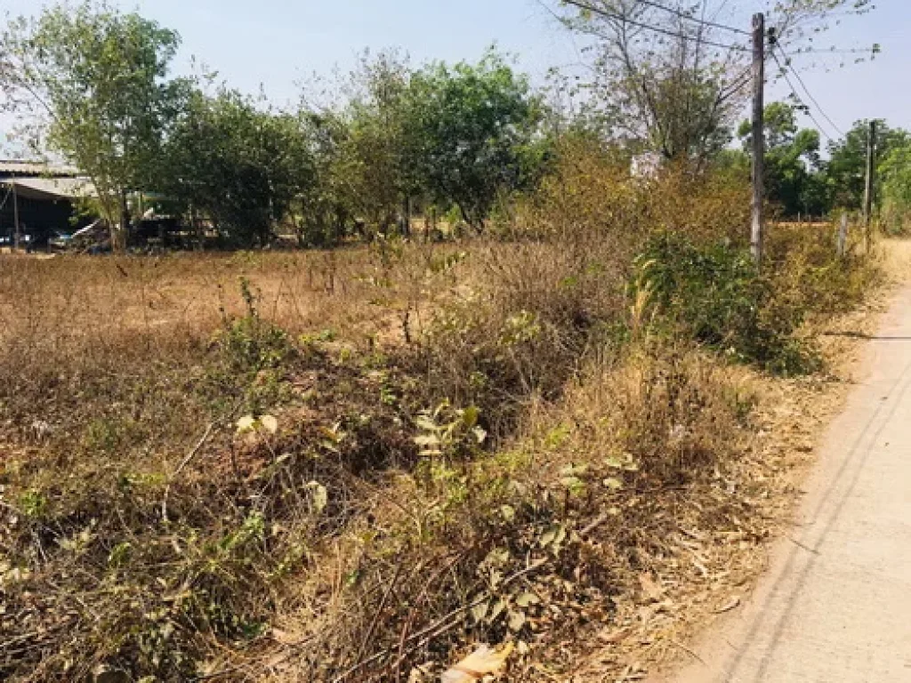 ที่ดินเปล่า 145 ตรวถมแล้ว ตหมูม่น อเมือง จอุดรธานี