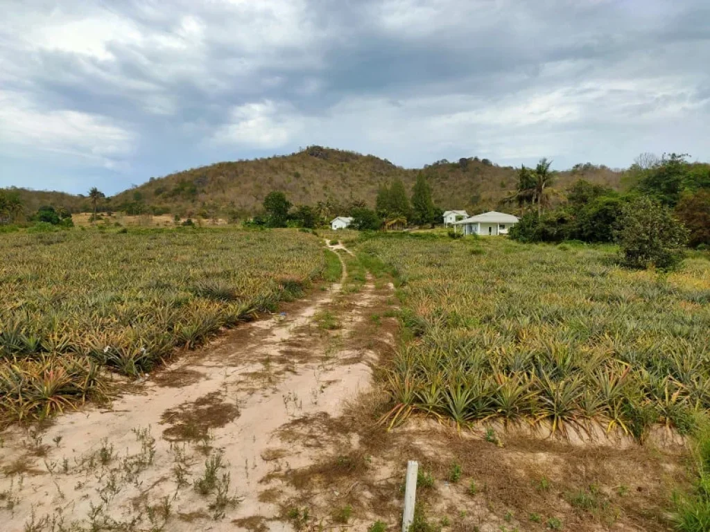 ขายที่ดินวิวภูเขาล้อมรอบ หัวหิน ทับใต้