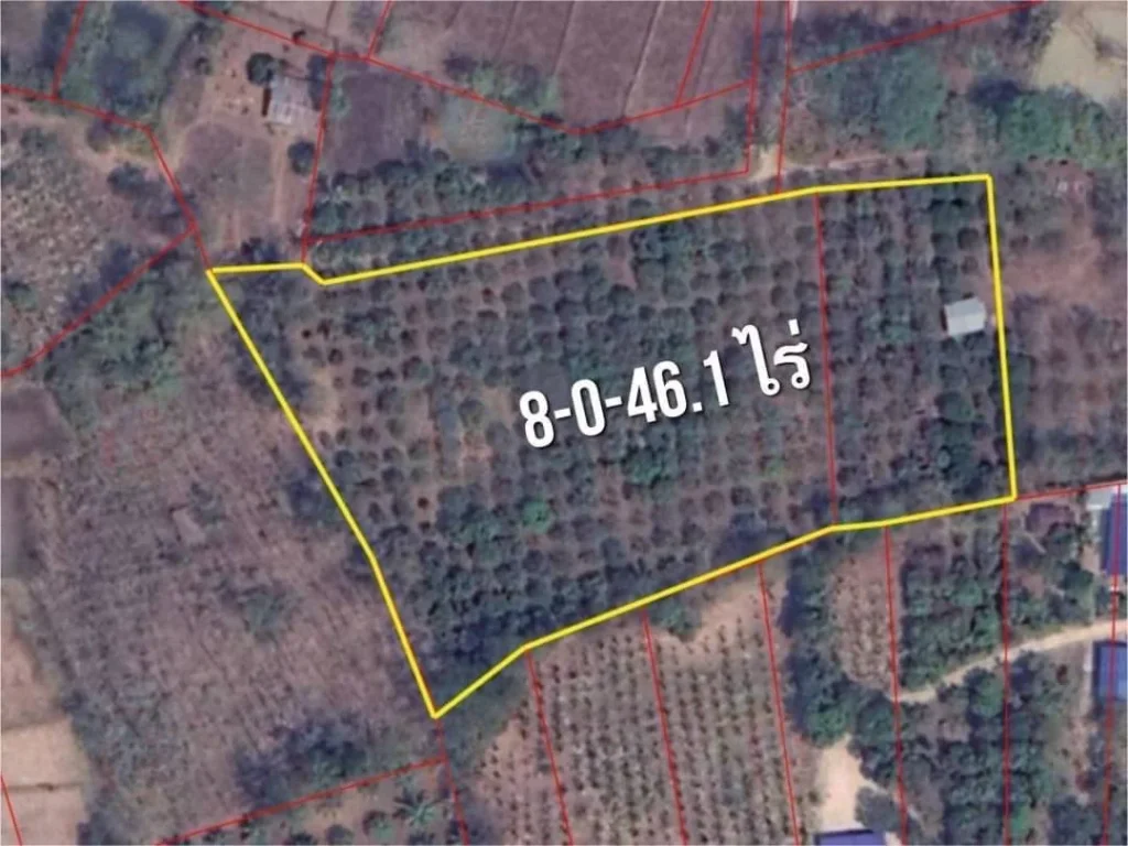 ขายที่ดินทำเลดี อำเภอเชียงคาน จังหวัดเลย