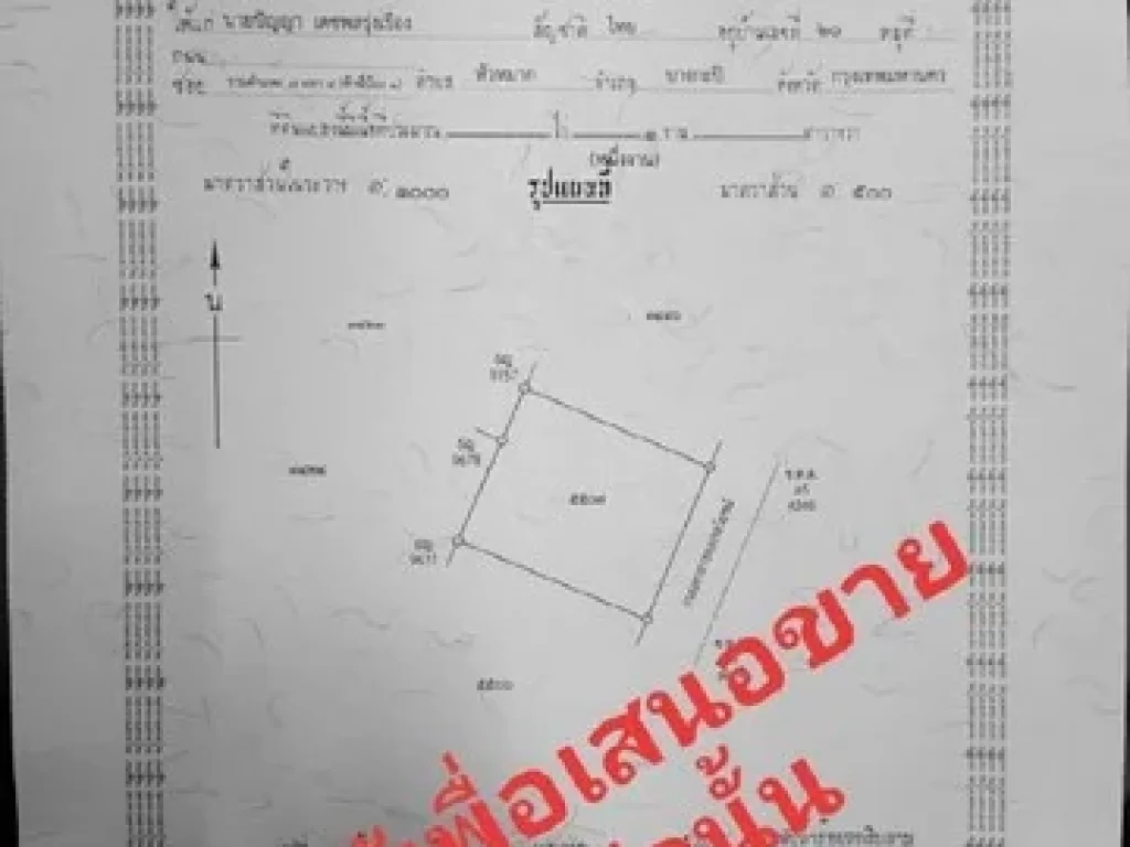 ขายที่ดินใกล้ถนนพระราม9 เนื้อที่100ตรวๆละ2แสน แขวงหัวหมาก เขตบางกะปิ กทม10240