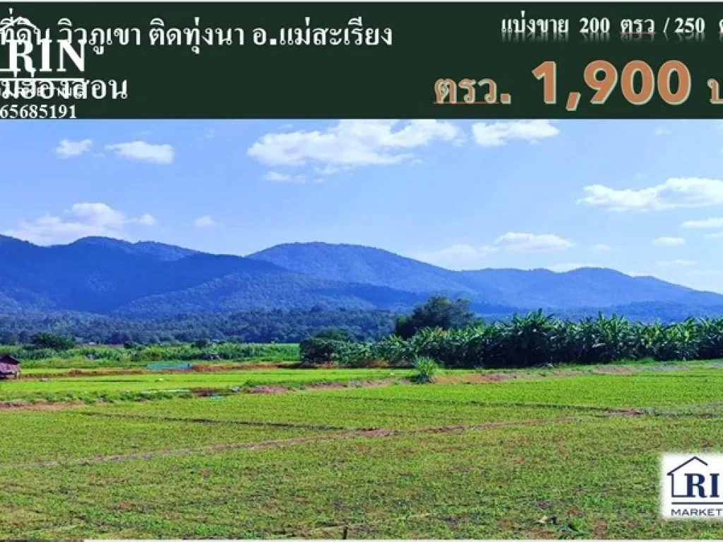 ขายที่ดิน 200 ตรวแม่ฮ่องสอน วิวภูเขาติดทุ่งนาสวยมาก ติดถนนใหญ๋ ตแม่ยวม อแม่สะเรียง จแม่ฮ่องสอน แบล็ค