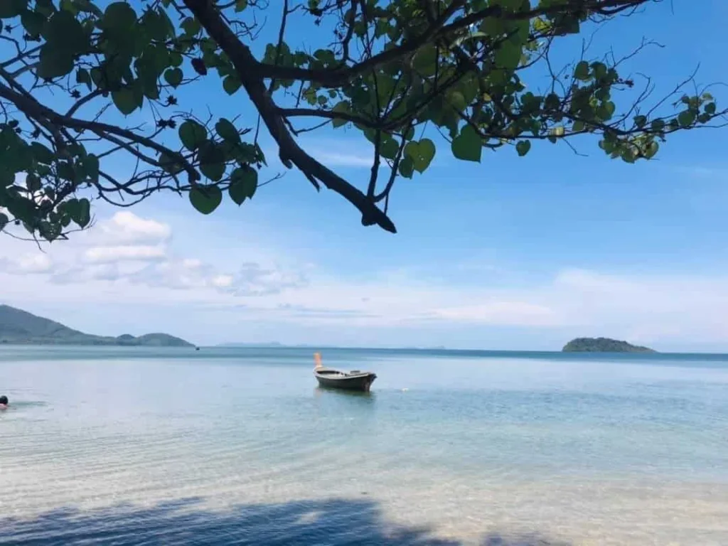 ที่ดินเกาะศรีบอยา จังหวัดกระบี่