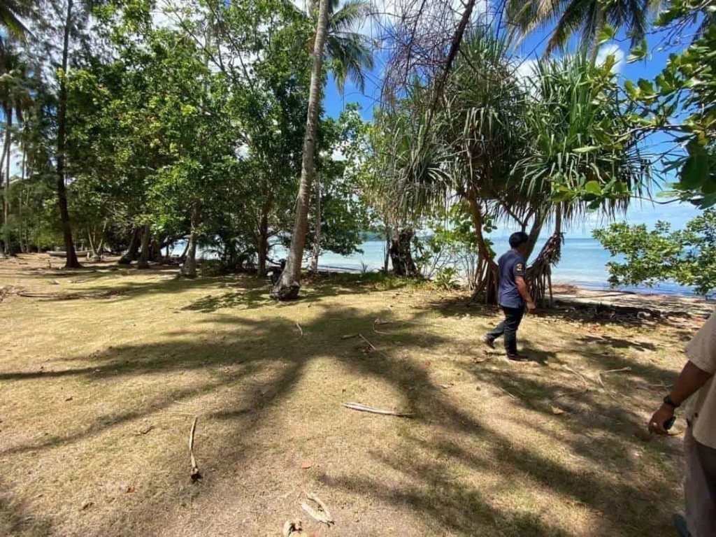 ที่ดินเกาะศรีบอยา จังหวัดกระบี่