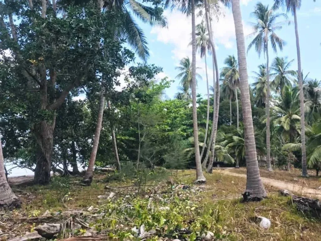 ที่ดินเกาะศรีบอยา จังหวัดกระบี่