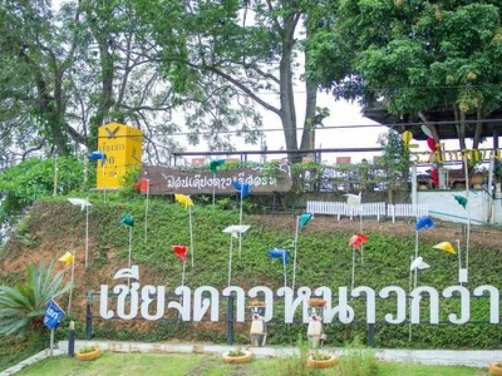 ขายม่อนเคียงดาวรีสอร์ทฯ ระเบียงกาแฟ จเชียงใหม่