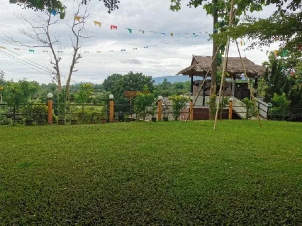 ขายม่อนเคียงดาวรีสอร์ทฯ ระเบียงกาแฟ จเชียงใหม่