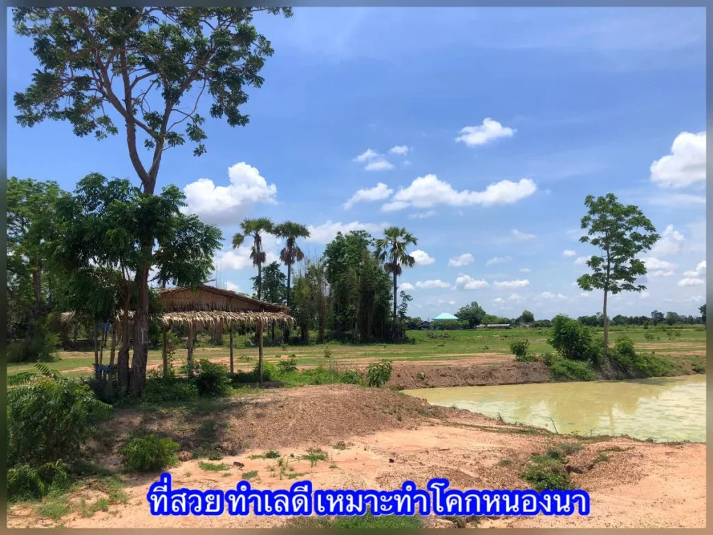 ที่ดินสุพรรณบุรี - ทำเลดีอยู่ในชุมชน เหมาะทำบ้านสวนยามเกษียณ