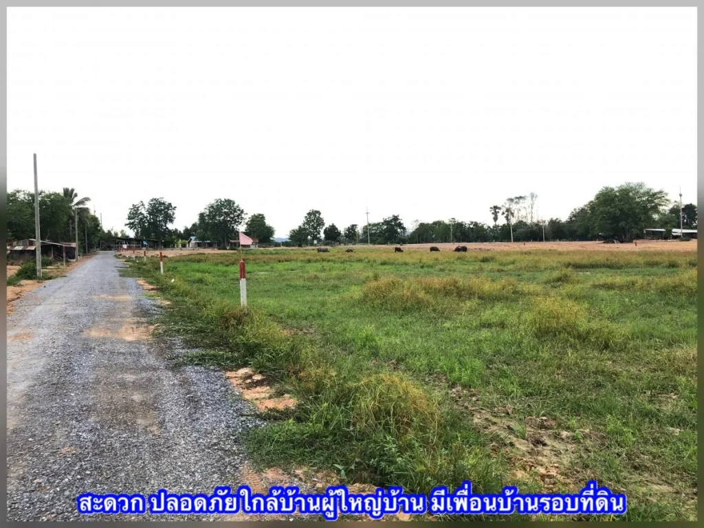 ที่ดินสุพรรณบุรี - ทำเลดีอยู่ในชุมชน เหมาะทำบ้านสวนยามเกษียณ