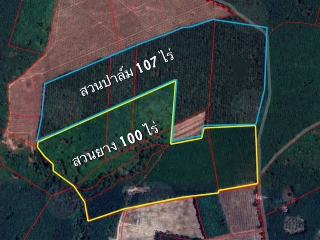 นำเสนอที่ดิน อท่าฉาง จสุราษฎร์ธานี