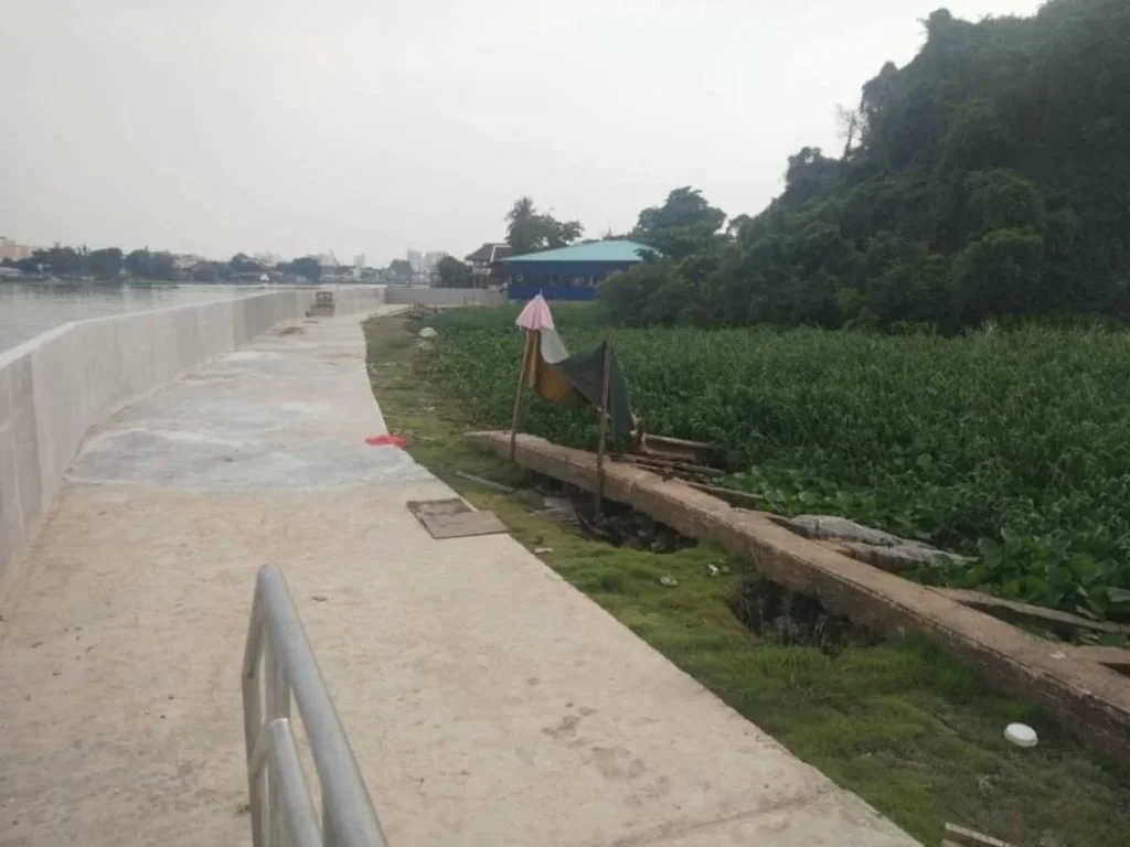 ขายที่ดินติดแม่น้ำเจ้าพระยา ใกล้วัดเฉลิมพระเกียรติ นนทบุรี