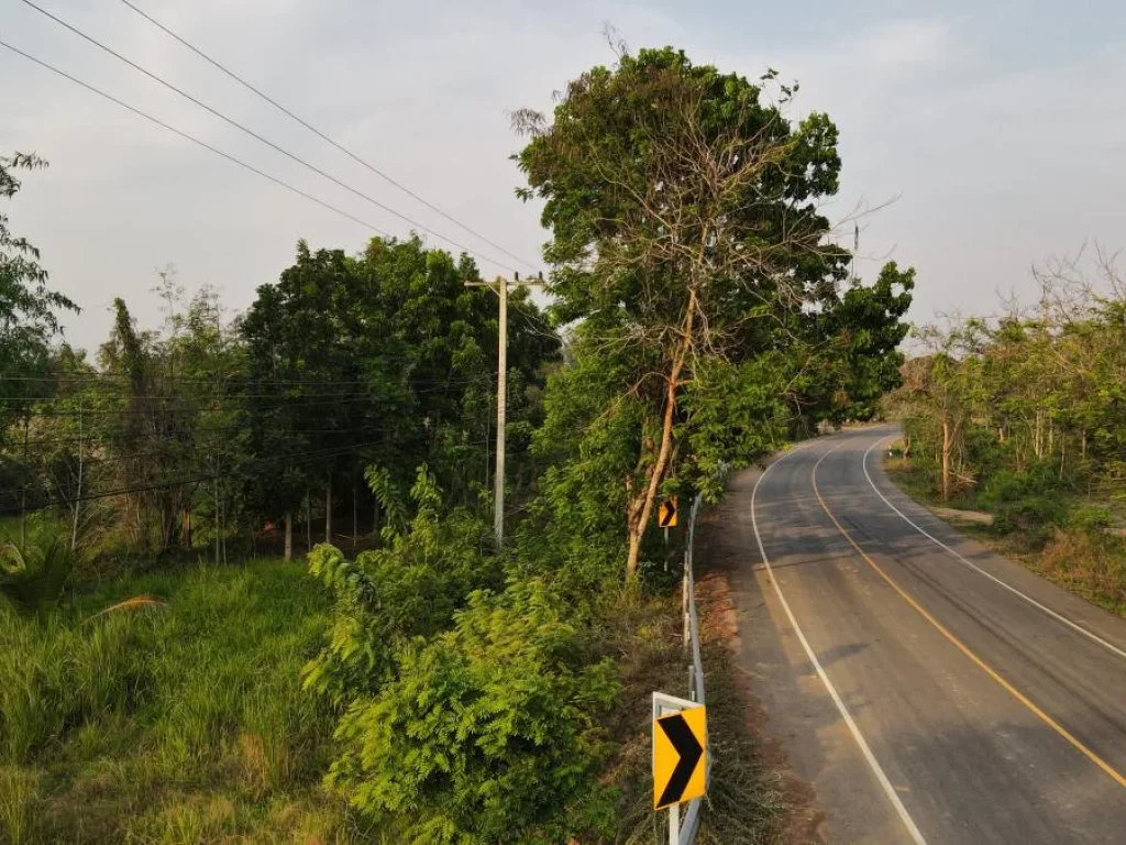 ที่ดินแบ่งขาย ฉโนดครุฑแดง นส4 ชะอำ เพชรบุรี